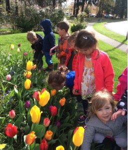 Beginner students enjoying the signs of SPRING